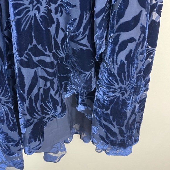 Anthropologie Daniella Velvet Maxi Dress - Picture 5 of 7